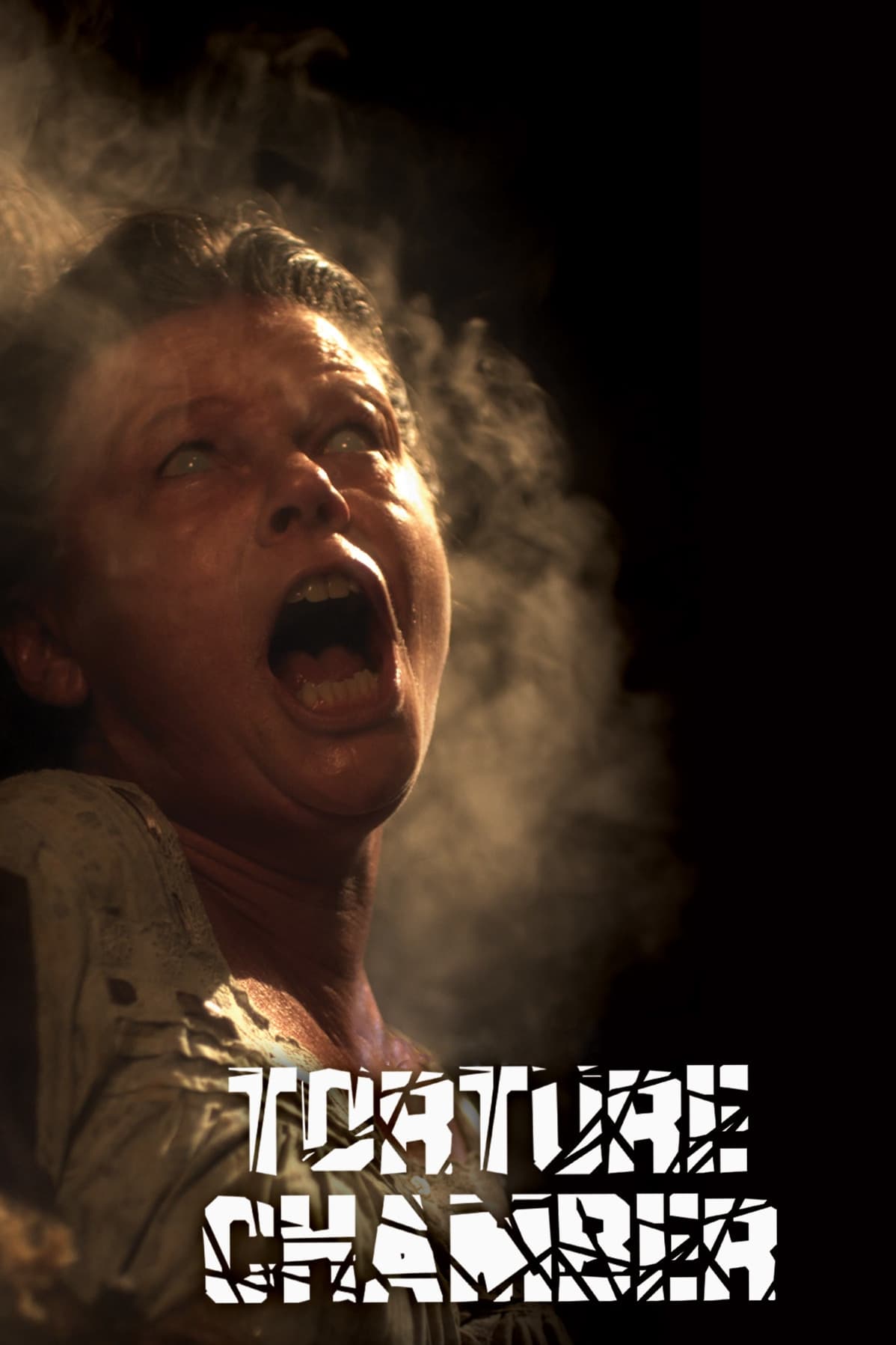 Постер Torture Chamber